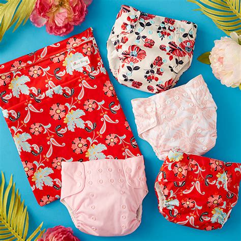 3 Pack of Cloth Diapers | Awesome Blossom