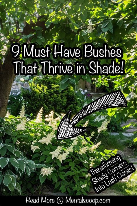 9 Bushes That Thrive in Shade: Transforming Shady Corners into Lush ...