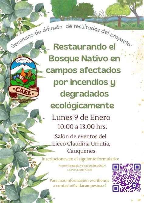 Presentarán resultados de proyecto restauración de bosque nativo