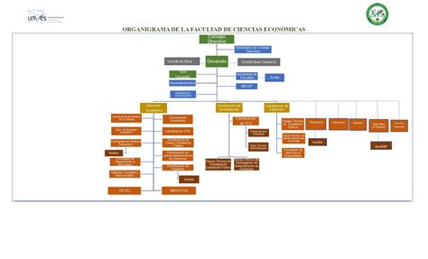 Organigrama Facultad De Ciencias Econ Micas