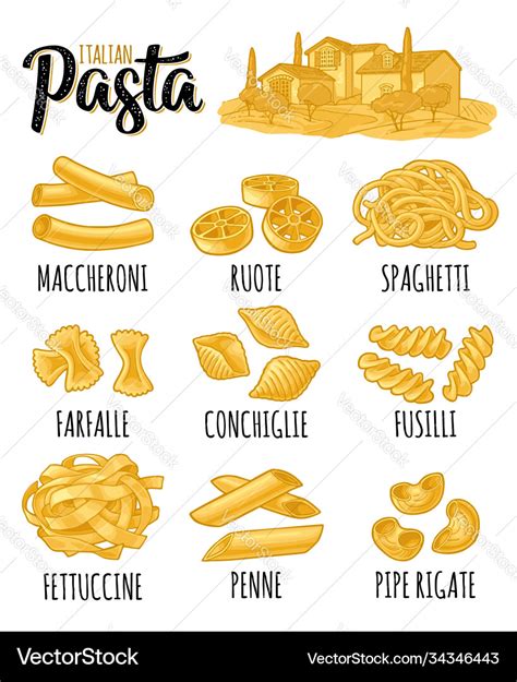 Different Types Macaroni And Italian Pasta Vector Image