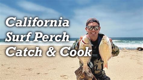 California Surf Perch Catch Cook YouTube