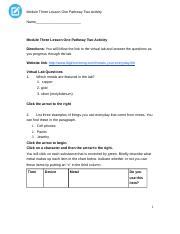 Lesson 1 Module 3 Doc Module Three Lesson One Pathway Two Activity