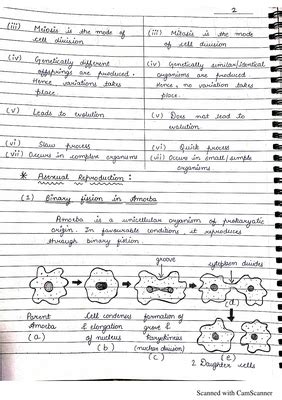 Chapter 1 Reproduction In Organisms Class 12 Handwritten Notes