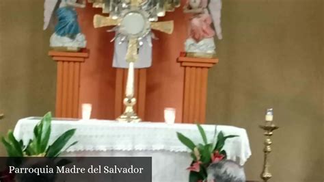 Parroquia Madre Del Salvador Guadalajara Jalisco Horarios De Misa