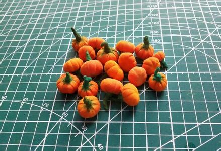 Miniature Pumpkins for Making Other Crafts : 7 Steps (with Pictures) - Instructables