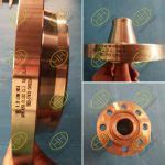 Astm A Gr Lf Cl Asme B C Weld Neck Flange Applied To Arctic