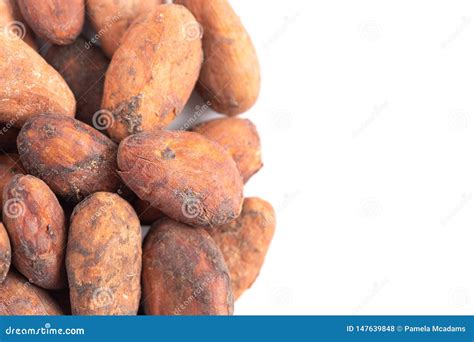 Pile Of Raw Cocoa Beans Isolated On A White Background Stock Photo