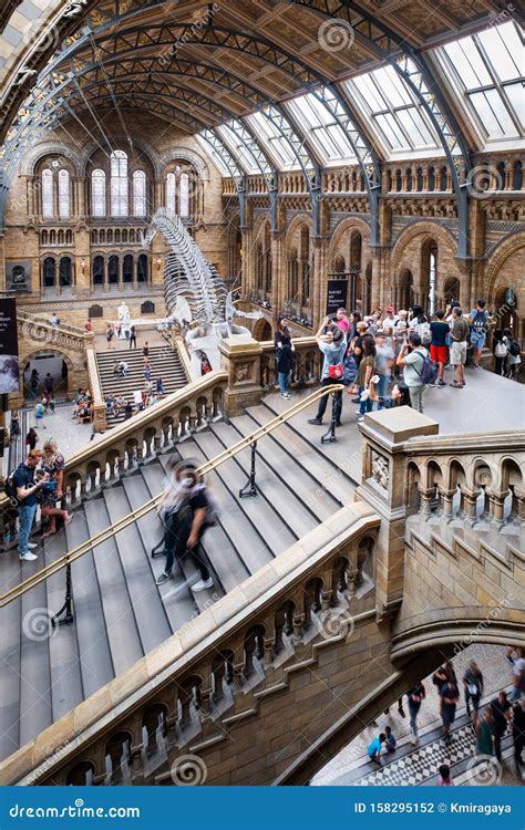 The Hintze Hall At The Natural History Museum In London Editorial