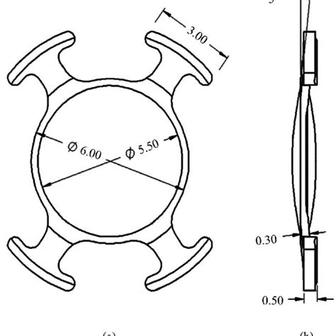 Graphic representation of the inserted accommodative intraocular lens ...