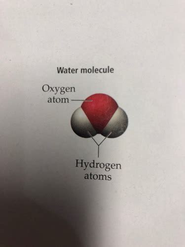 CHEM CHAPTER 1 Flashcards Quizlet