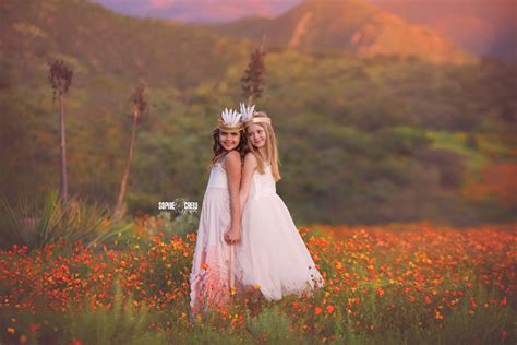 Horses Wildflowers Photography San Diego, CA Sophie Crew Photography