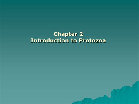 Protozoa