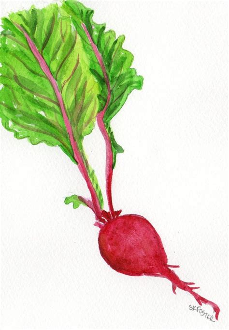 Beet Watercolor Painting Original Kitchen Decor X Beet