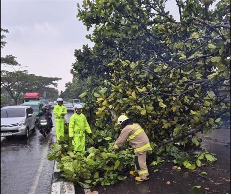 Hujan Deras Di Cimahi Sejumlah Pohon Tumbang Dan Rumah Rusak