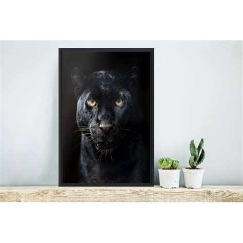 Muchowow Poster Encadr Panth Re Noir Jaune Tableau Deco Avec