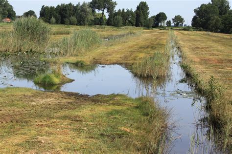 Aanpassing Waterhuishouding T B V Natuurgebied De Westelijke