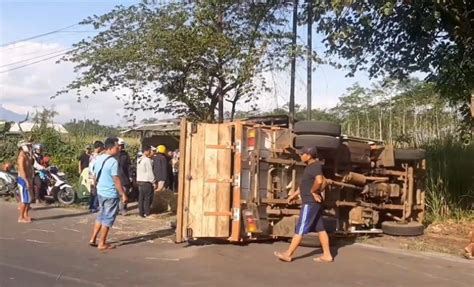 Gegara Hindari Jalan Berlubang Truk Angkut 20 Orang Teguling Di Lumajang