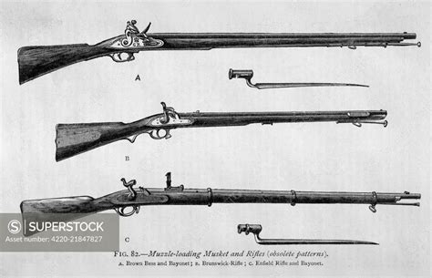 Muzzle Loading Musket And Rifles A Brown Bess And Bayonet B Brunswick Rifle C Enfield Rifle