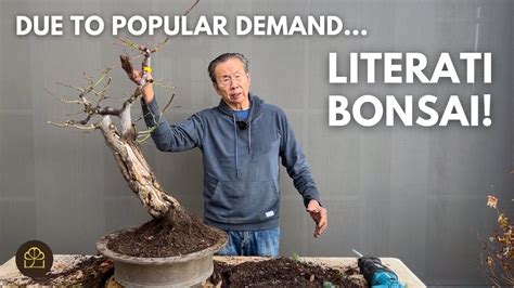 Design A Literati Style Bonsai With Me YouTube