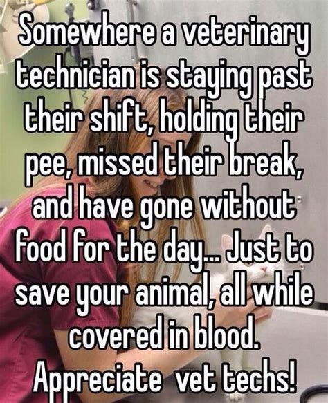 Pin By Samantha Anderson On Vet Tech Vet Tech Humor Vet Tech Quotes