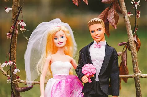 Barbie And Ken Bride And Groom Dolls Ubicaciondepersonascdmxgobmx