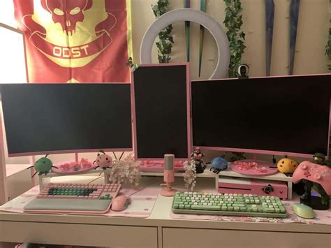 Pink Pc Set Up