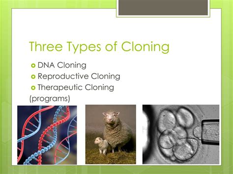 Ppt Cloning Powerpoint Presentation Free Download Id 2632240