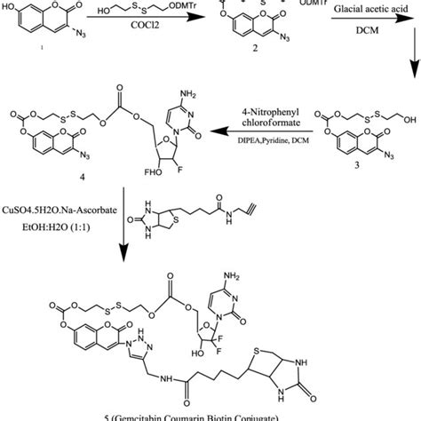 Synthetic Scheme Of Plga Peg Fol Conjugate Download Scientific Diagram