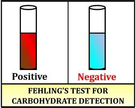 Fehling's Test- Definition, Principle, Procedure, Result,, 41% OFF