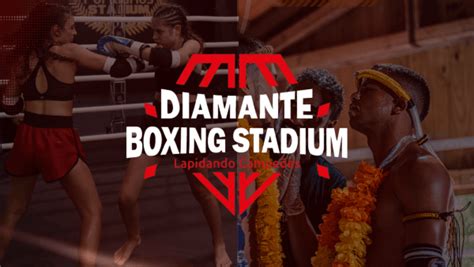 Diamante Boxing Stadium 4 Em Joinville Sympla