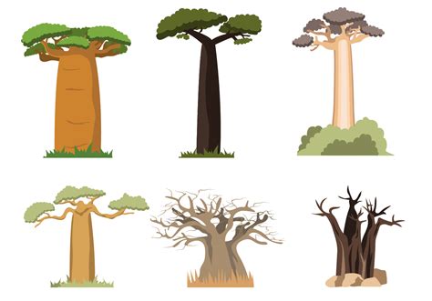 Free Baobab Vector - Download Free Vector Art, Stock Graphics & Images