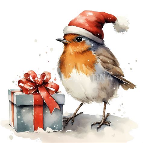 Christmas Robin Clipart 15 High Quality S Digital Download