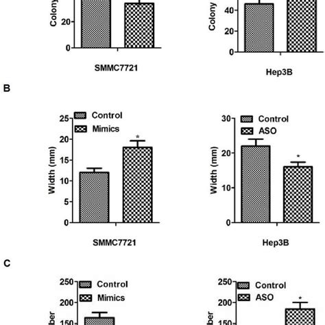 The Function Of Mir 122 On The Proliferation Migration And Invasion