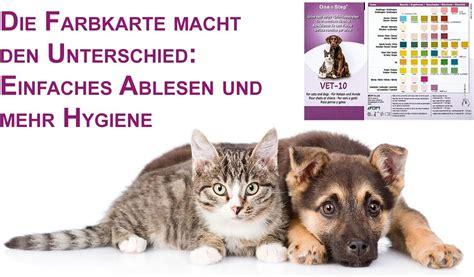 One Step Urin Teststreifen F R Hunde Und Katzen Schnelltest Zur