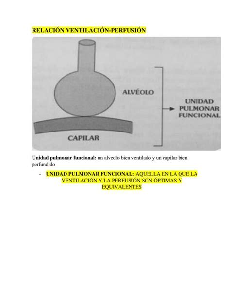 Relaci N Ventilaci N Perfusi N Alisson Gomora Gonzalez Udocz