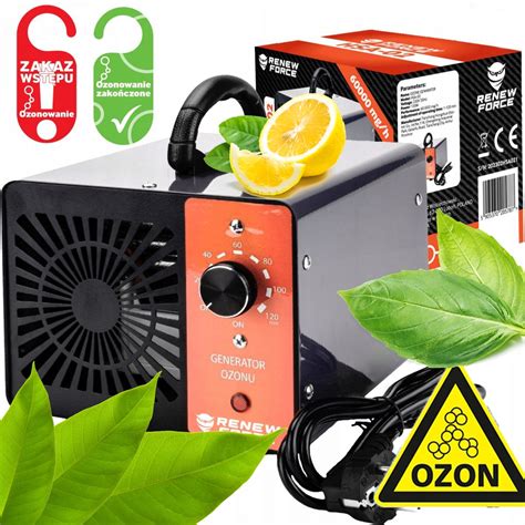 GENERATOR OZONU MOCNY 60 000 MG H Ozonator TIMER GENERATOR OZONU