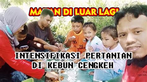 Program Intensifikasi Pertanian Di Kebun Cengkeh Pasca Idul Fitri