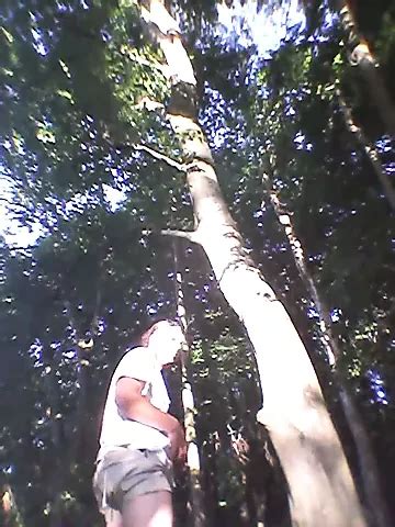 In Shorts Gay Amateur Amateur Porn Feat Soeren22 XHamster