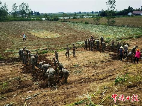 常德军分区600余名官兵和民兵驰援岳阳抗洪一线 常德 新湖南