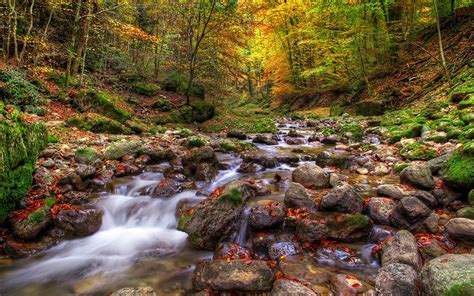 Bilder Bach Natur Herbst Wälder Stein 1920x1200