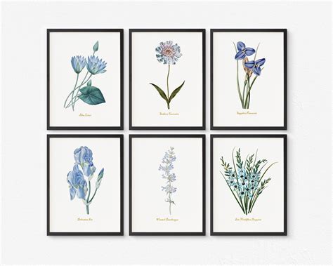 Blue Flower Wall Art Vintage Floral Wall Decor Botanical Etsy