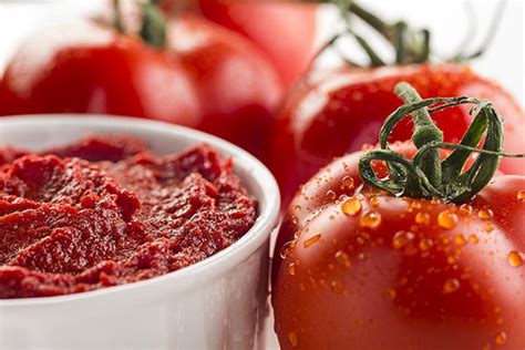 Tomatenpüree Selber Machen Rezept Arad Branding