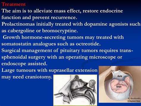 Professor Nashwan Q Mahgoob Medical Collegeuniversity Of Mosul Ppt