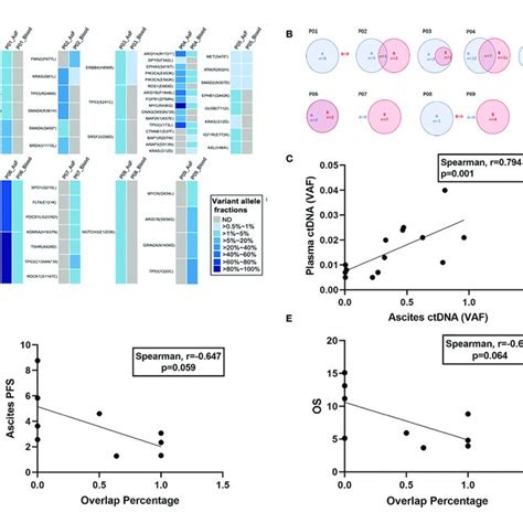 Mutational Concordance Between Baseline Ascites Ctdna And Plasma