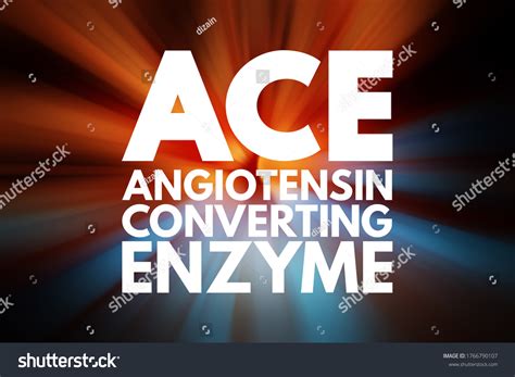 Ace Angiotensin Converting Enzyme Acronym Medical Stock Illustration 1766790107 | Shutterstock