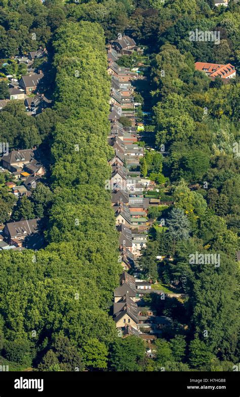 Luftaufnahme Duisburg Homberg Siedlung Rheinpreu En Historische