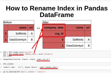 How To Rename Index In Pandas Dataframe