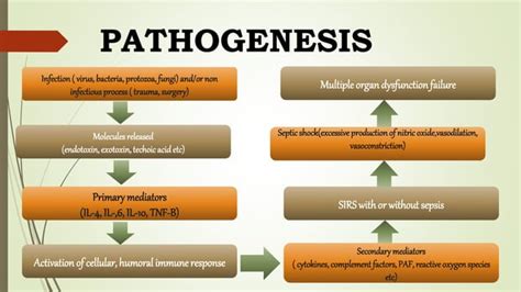 Sirs Systemic Inflammatory Response Syndrome