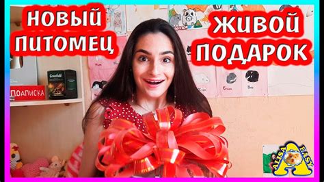Живой подарок на День Рождения Алисы / Что подарили Алисе? / Подарок на ...